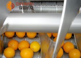 柑橘類水果加工生產線